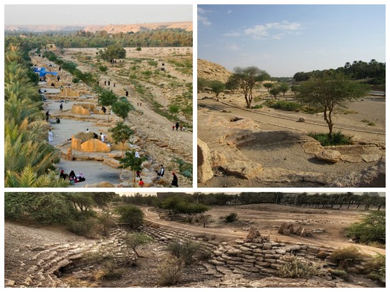 new Collage Wadi Pathways